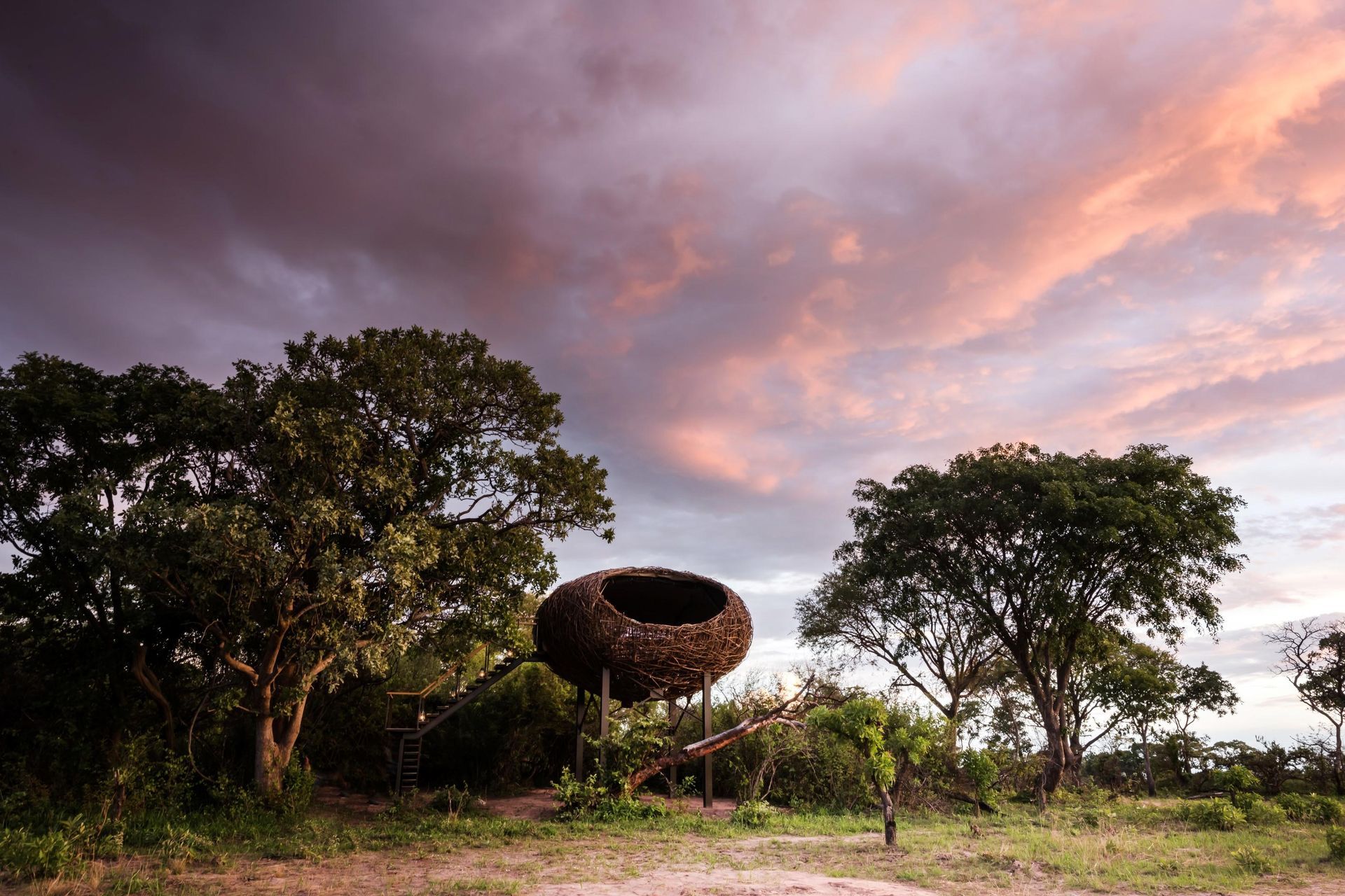 Chisa Busanga - Bucket List Safari Experience