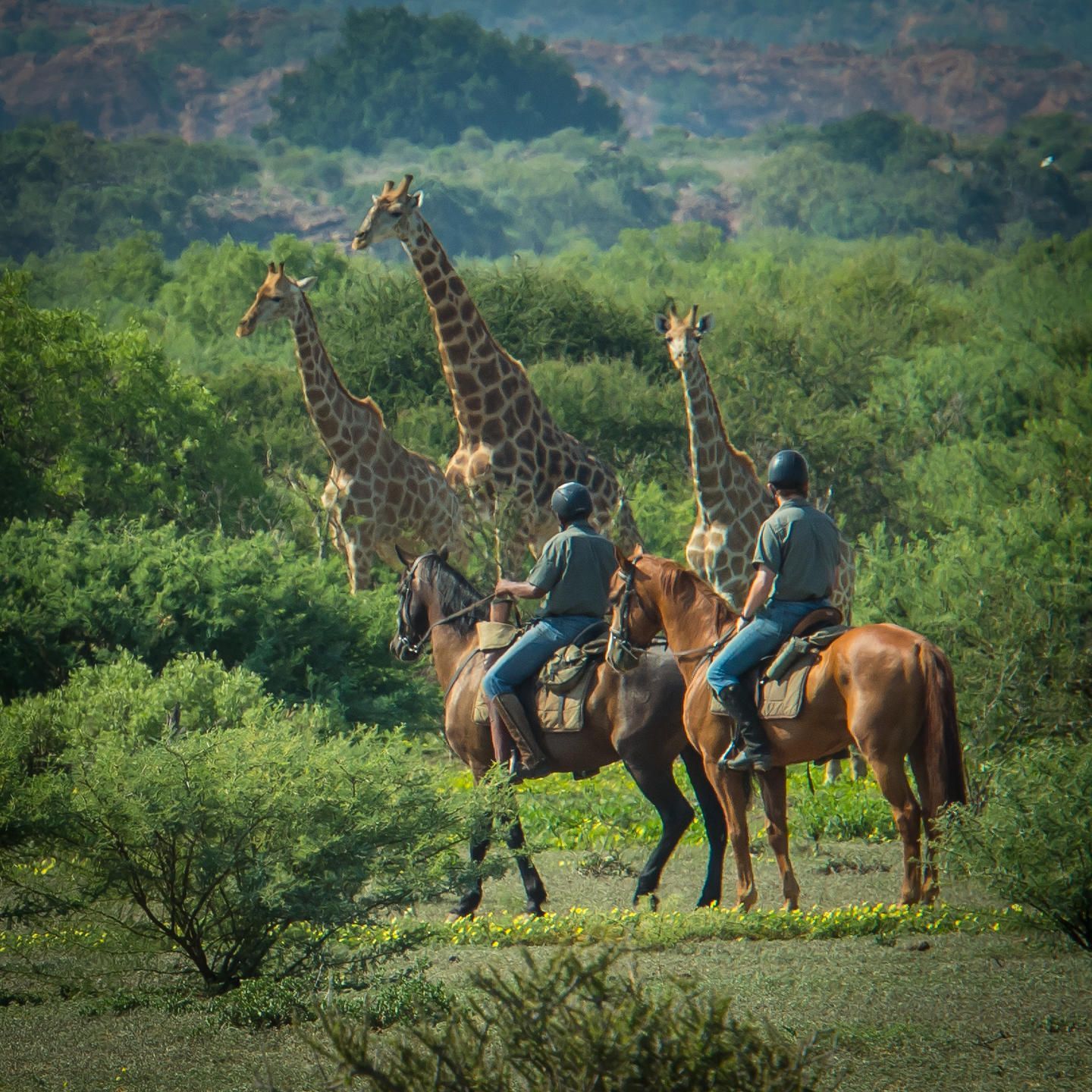 Mashatu Lodge horseback safari