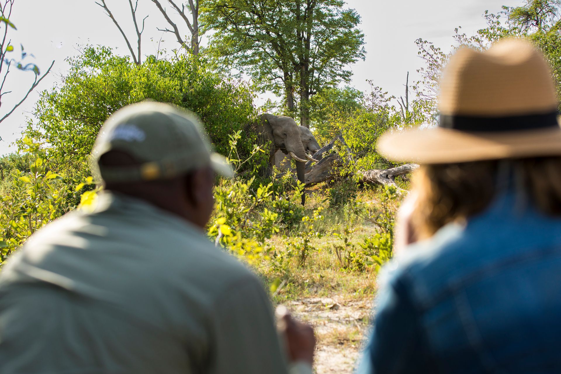 The beautiful sleep out at Kambaku Safari Lodge