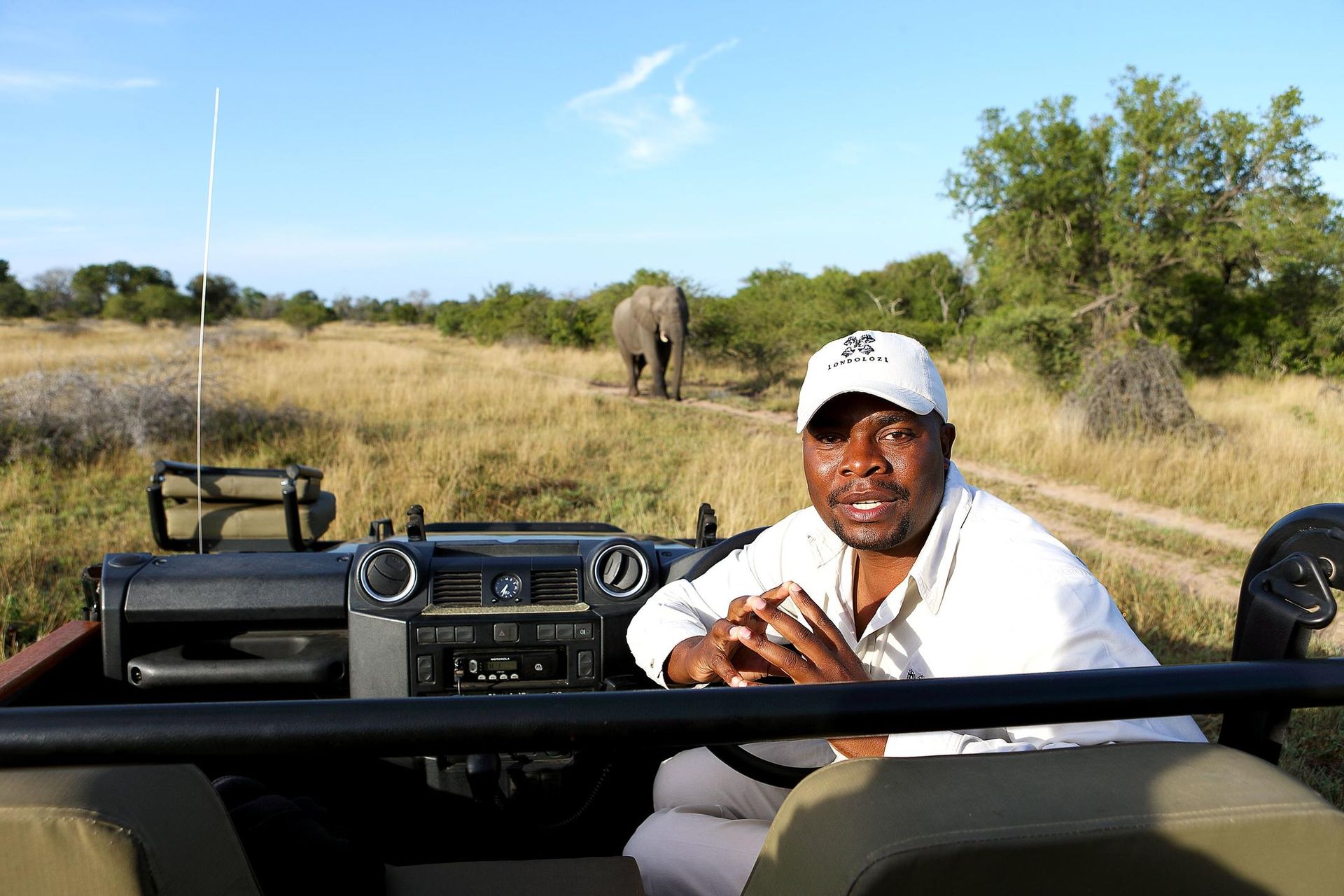 Man in safari vehicle, looking at elephant in grassy savanna.
