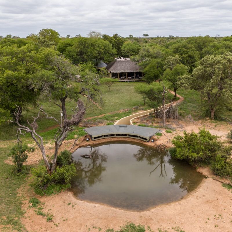 Overhead view of a safari lodge with a waterhole in front and a photographic hide  surrounded by trees.