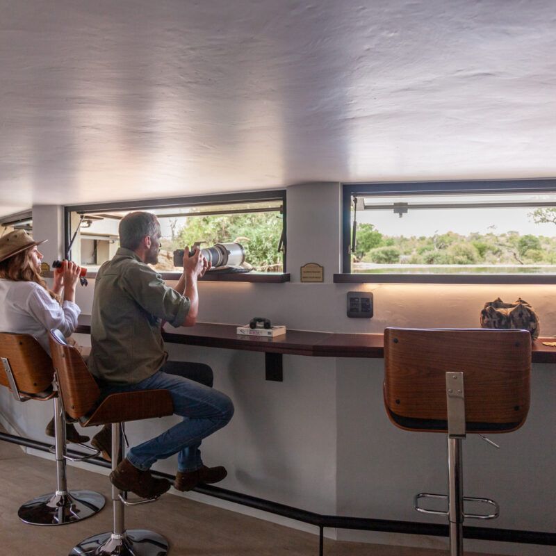 Two people, with binoculars and camera, sit at a bar looking out at a wildlife scene through windows.