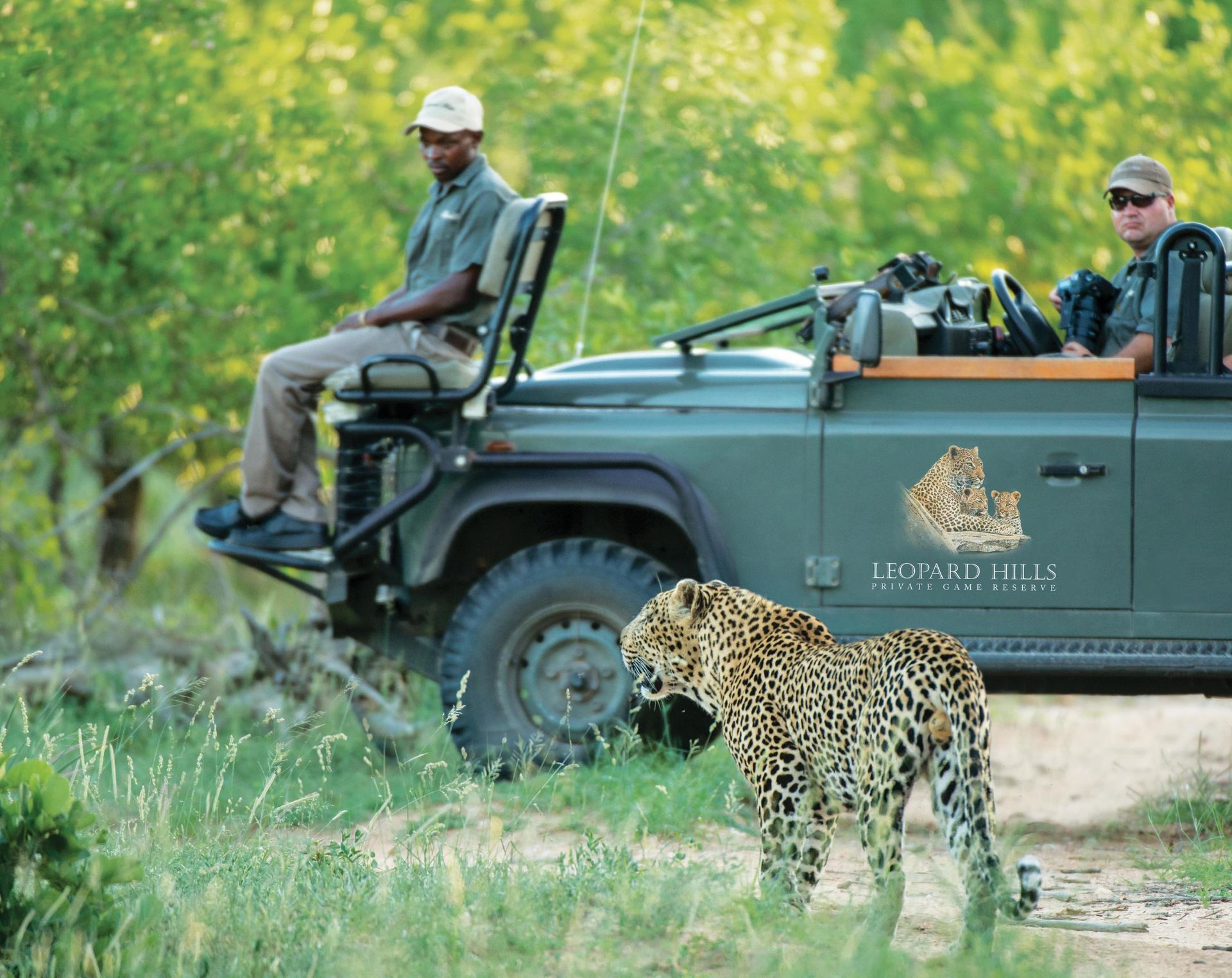 a leopard is standing in front of a safari vehicle with people in it .