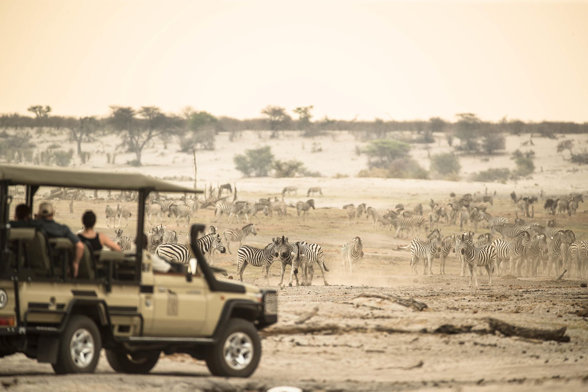 Safari jeep viewing a dusty savanna scene with a herd of animals in the distance.