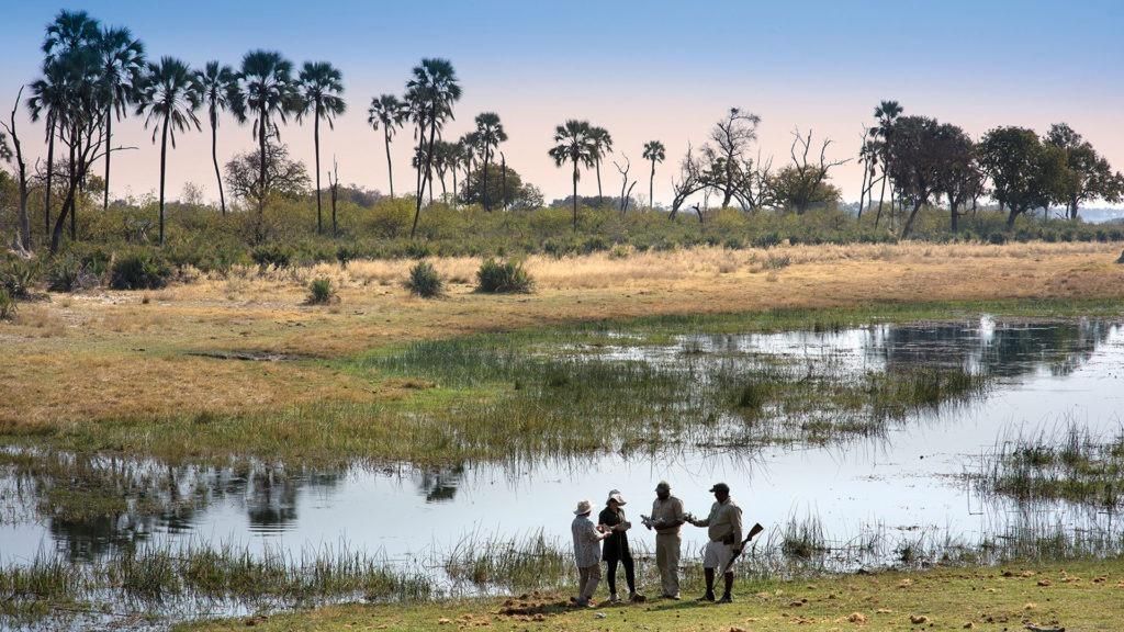 andBeyond Sandibe Okavango Safari Lodge