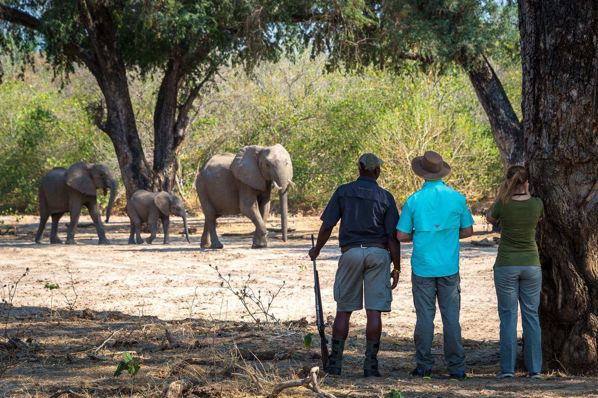 Walking Safari in Mana Pools at Little Ruckomechi