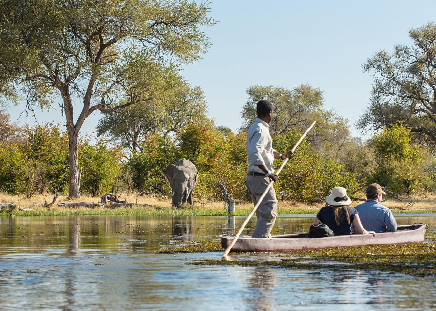 Tour guide rows canoe with tourists on river, elephant in background, sunny day.