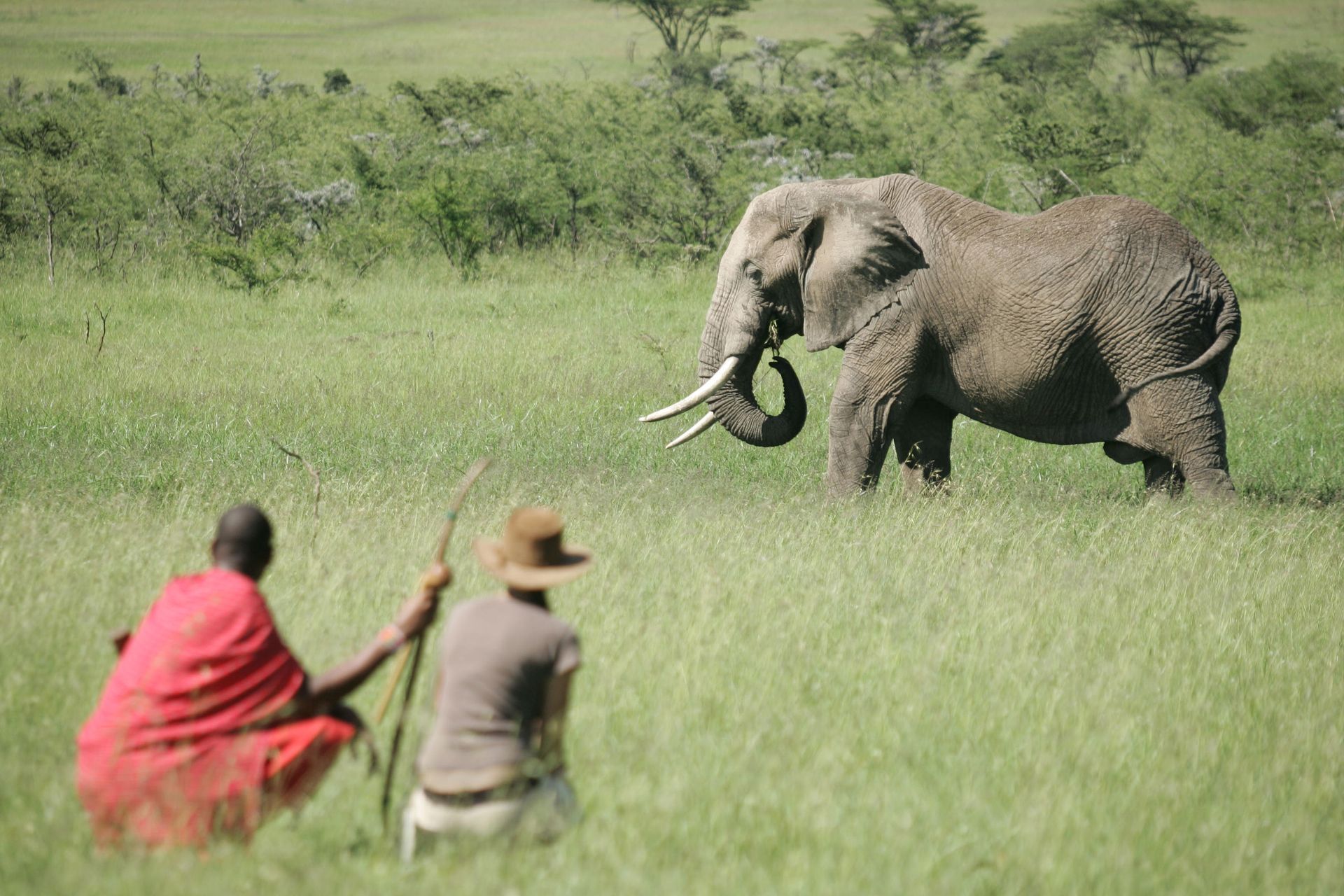 A woman and a Masai Game Guard on a Walking Safari in Kenya