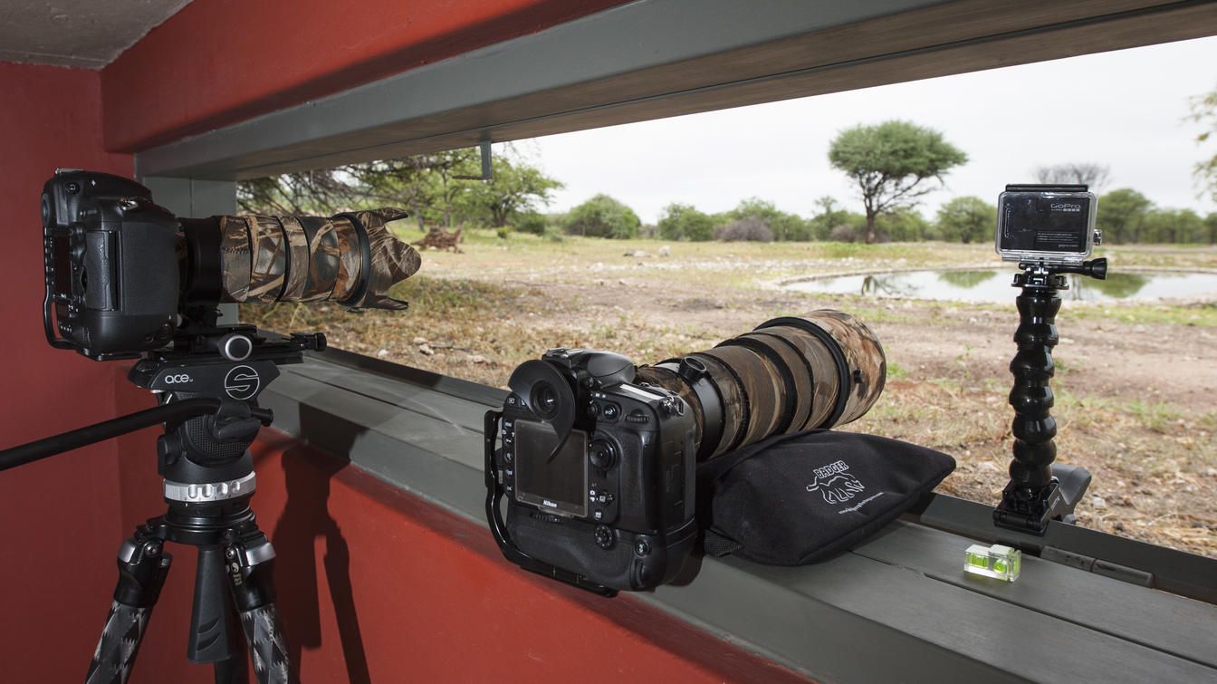 Woman photographing giraffes at a watering hole from a viewing blind, in a brown, outdoor setting.
