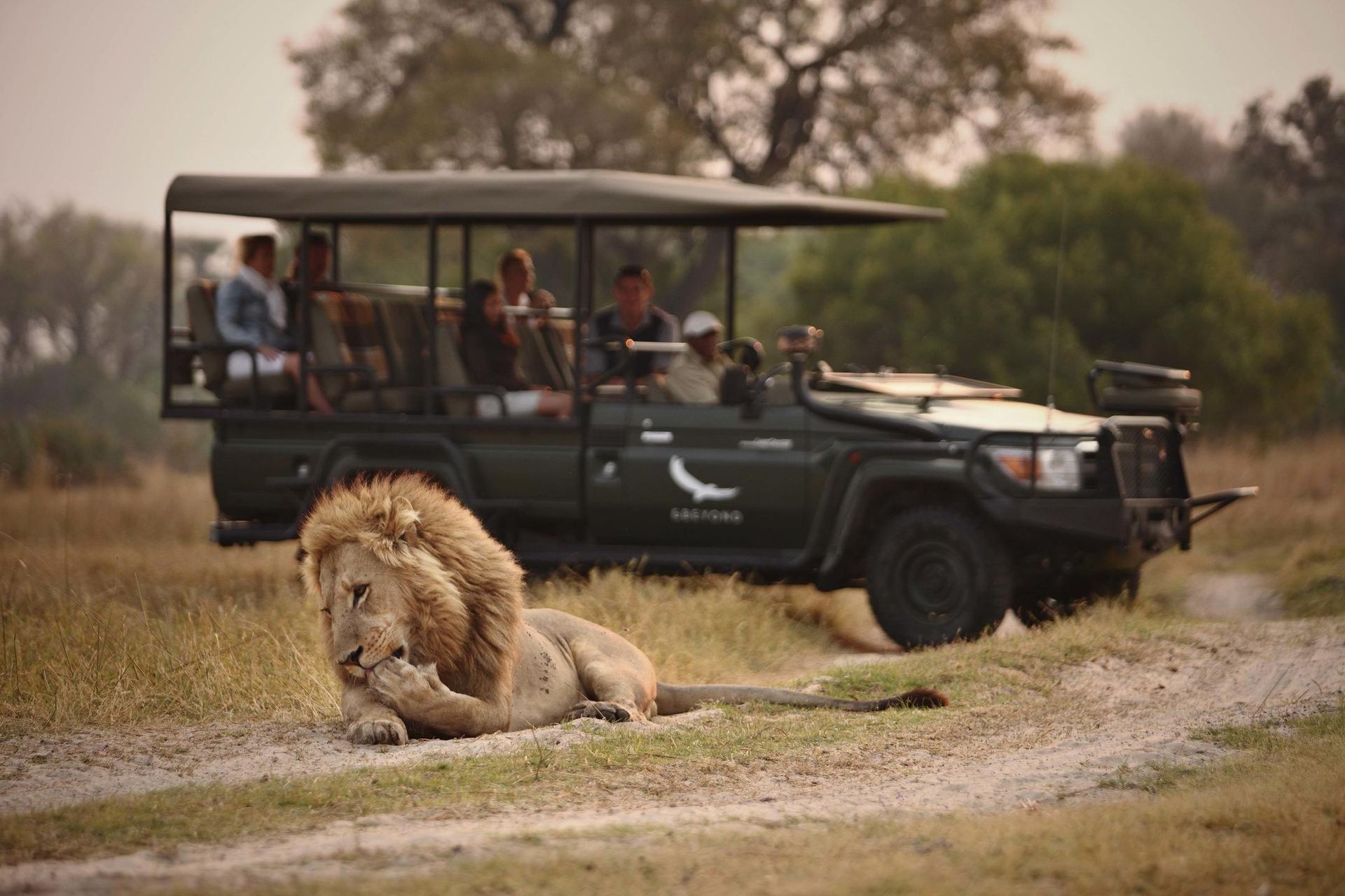 andBeyond Sandibe Okavango Safari Lodge