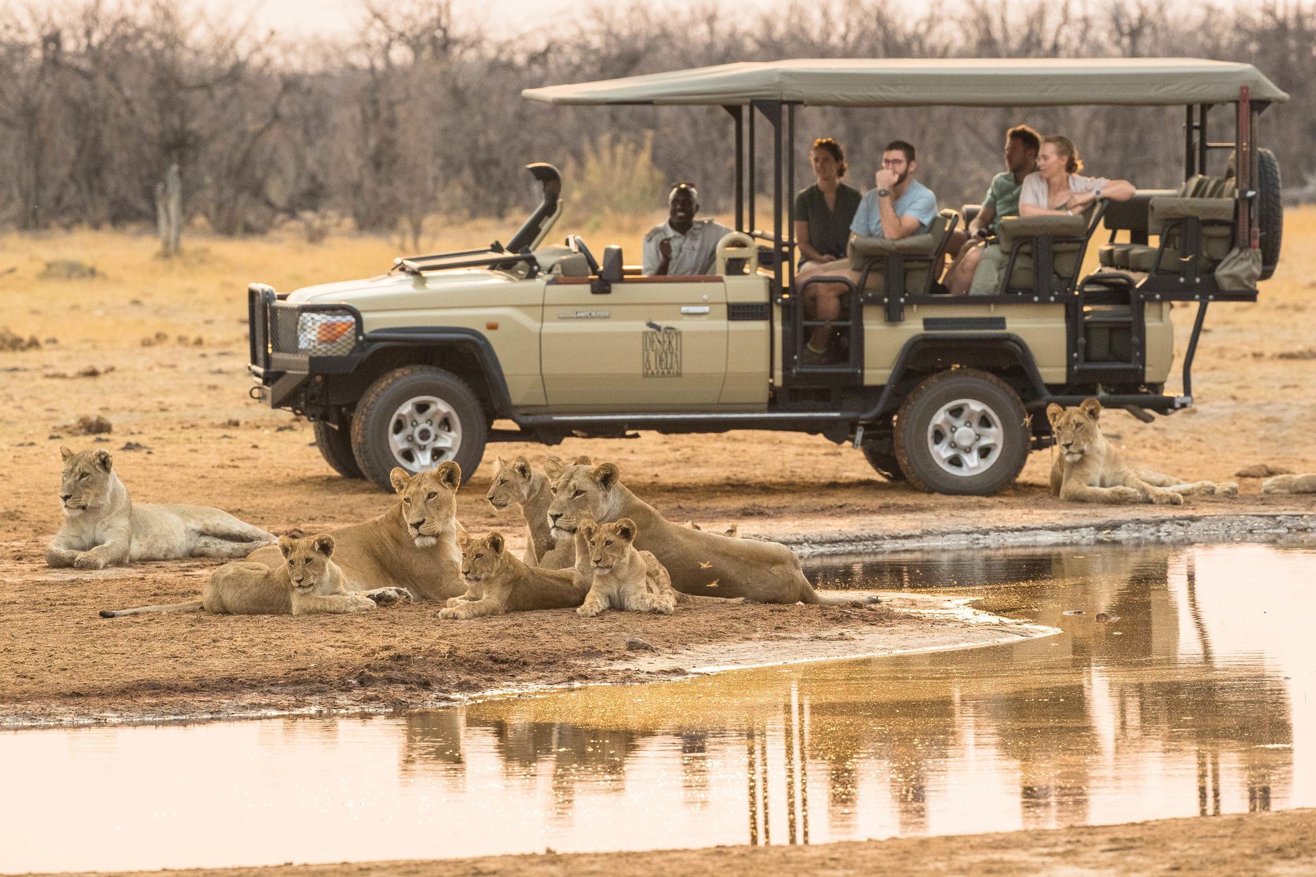 Safari jeep beside lions at a watering hole, with tourists watching in a dry savanna.