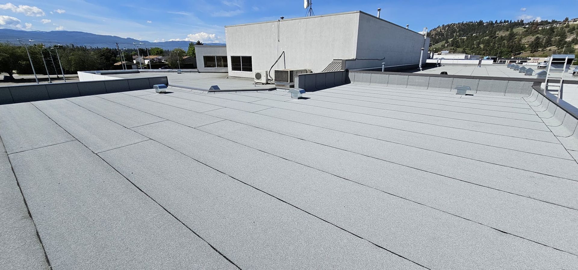 Blue metal rooftop with several white vents and trees along the edge