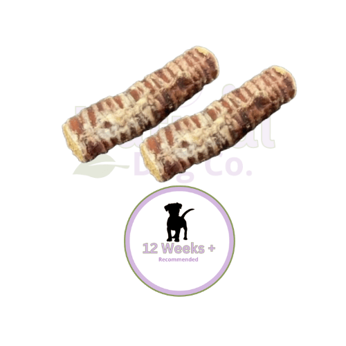 Collagen Filled Trachea x2