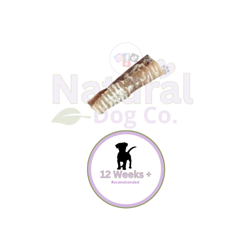 Beef Trachea 12cm