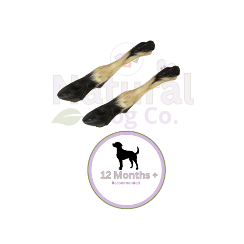 Lamb Leg with Fur x2