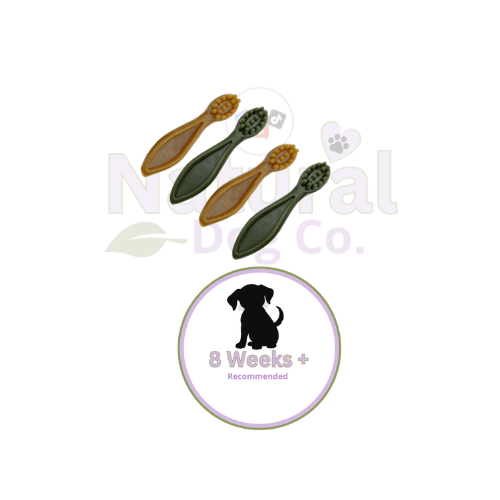 Mini Veggie Toothbrush x4