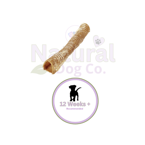 Buffalo Trachea 30cm