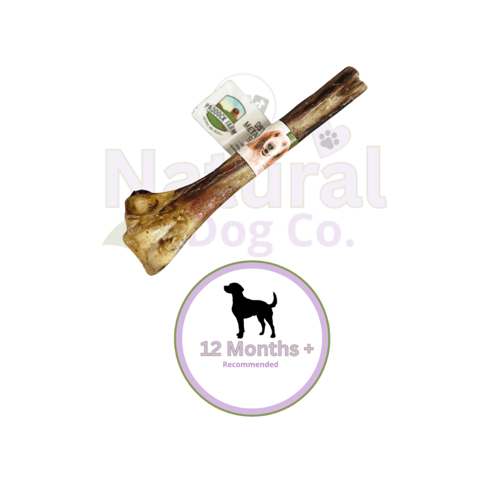 Ostrich Metatarsus Bone