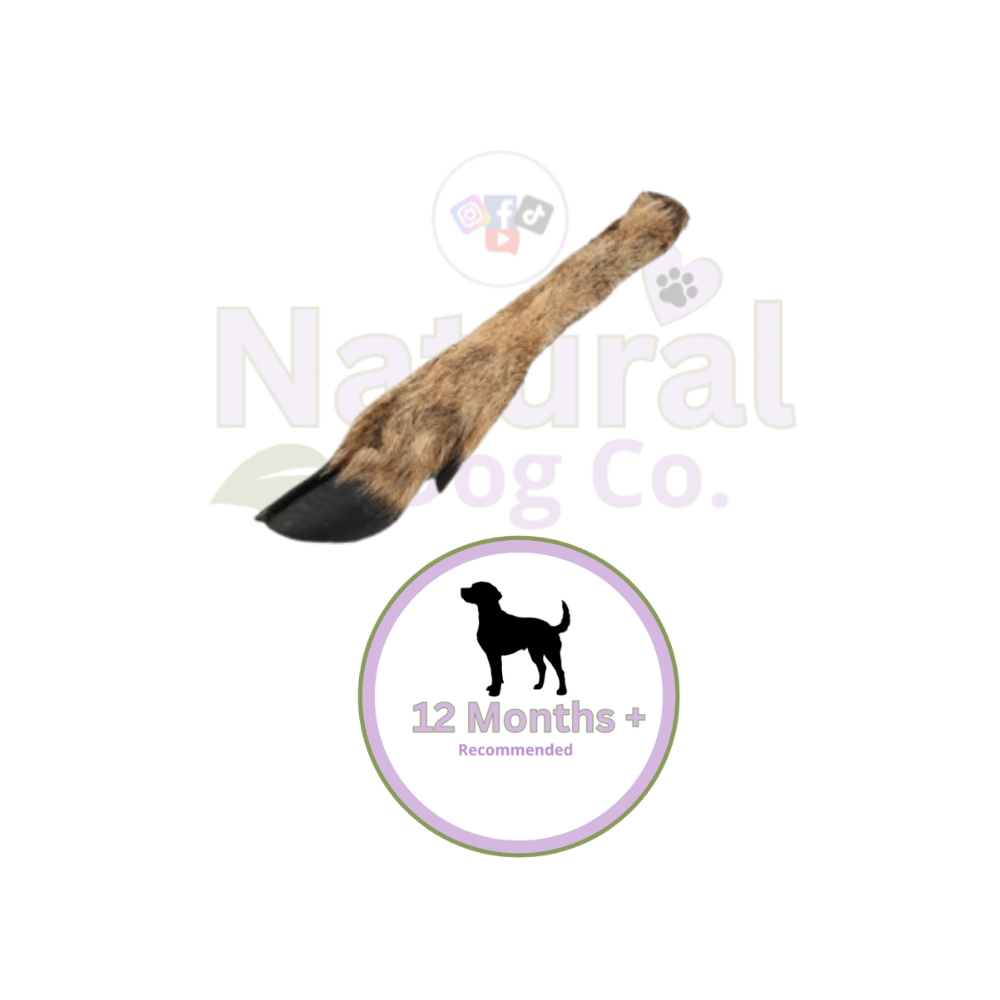 Jumbo Venison Leg x2