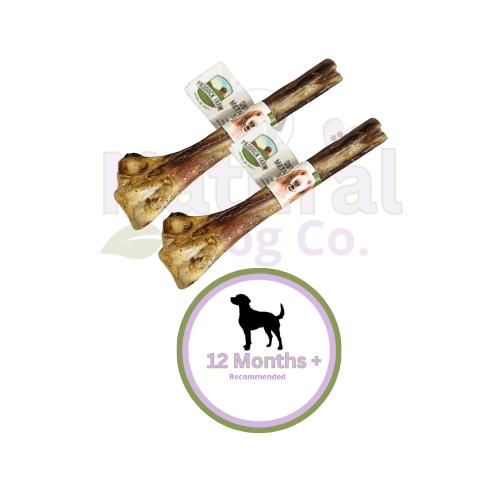 Ostrich Metatarsus Bone x2