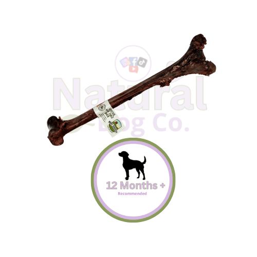 Ostrich Caveman Bone