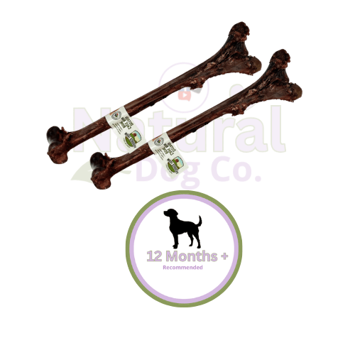 Ostrich Caveman Bone x2