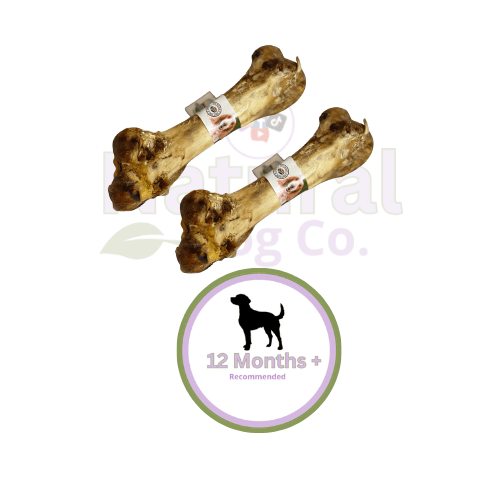 Ostrich Dino Bone x2