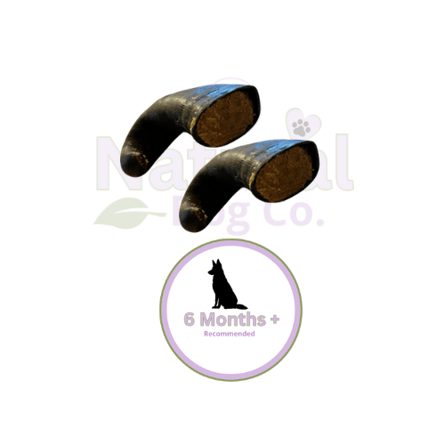 Beef Filled Buffalo Horn x2