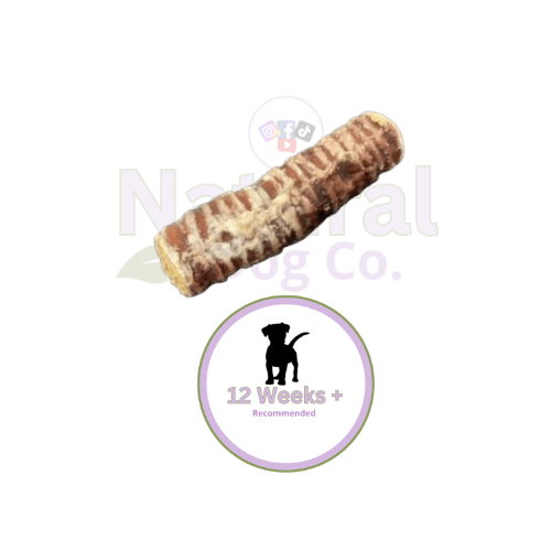 Collagen Filled Trachea