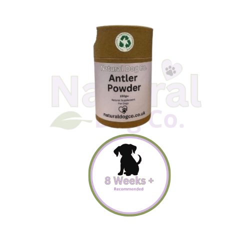 Antler Powder 150g - 8 Wks +