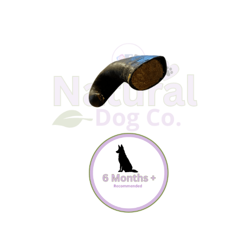 Beef Filled Buffalo Horn