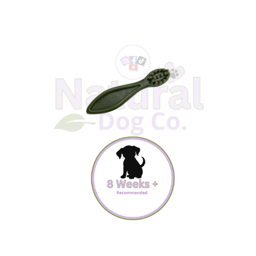 Mini Veggie Toothbrush