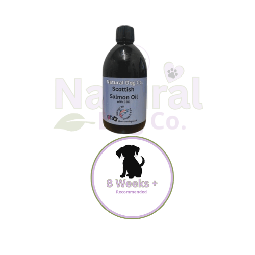CBD Scottish Salmon Oil 500ml