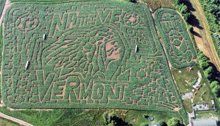 The Great Vermont Corn Maze in Danville, Vermont