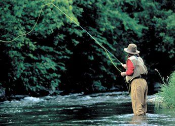 Fly Fishing on the Willoughby River in Vermont