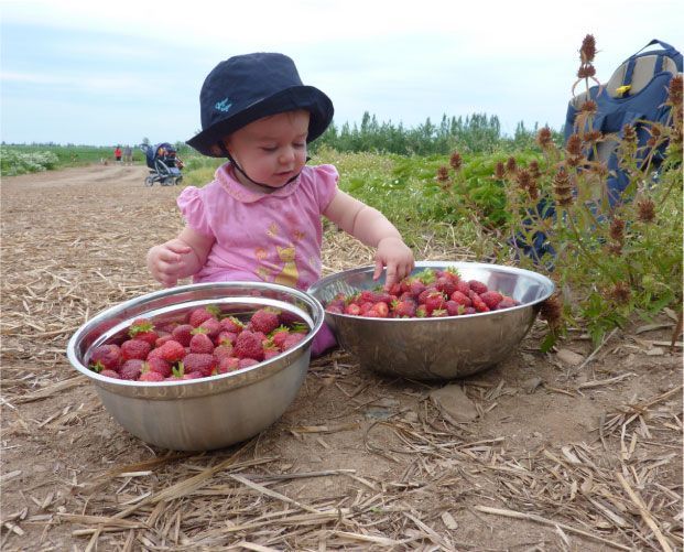 Un enfant vêtu d'une chemise et d'un chapeau roses est assis près de deux bols de fraises dans un champ, tendant la main pour attraper des fruits.