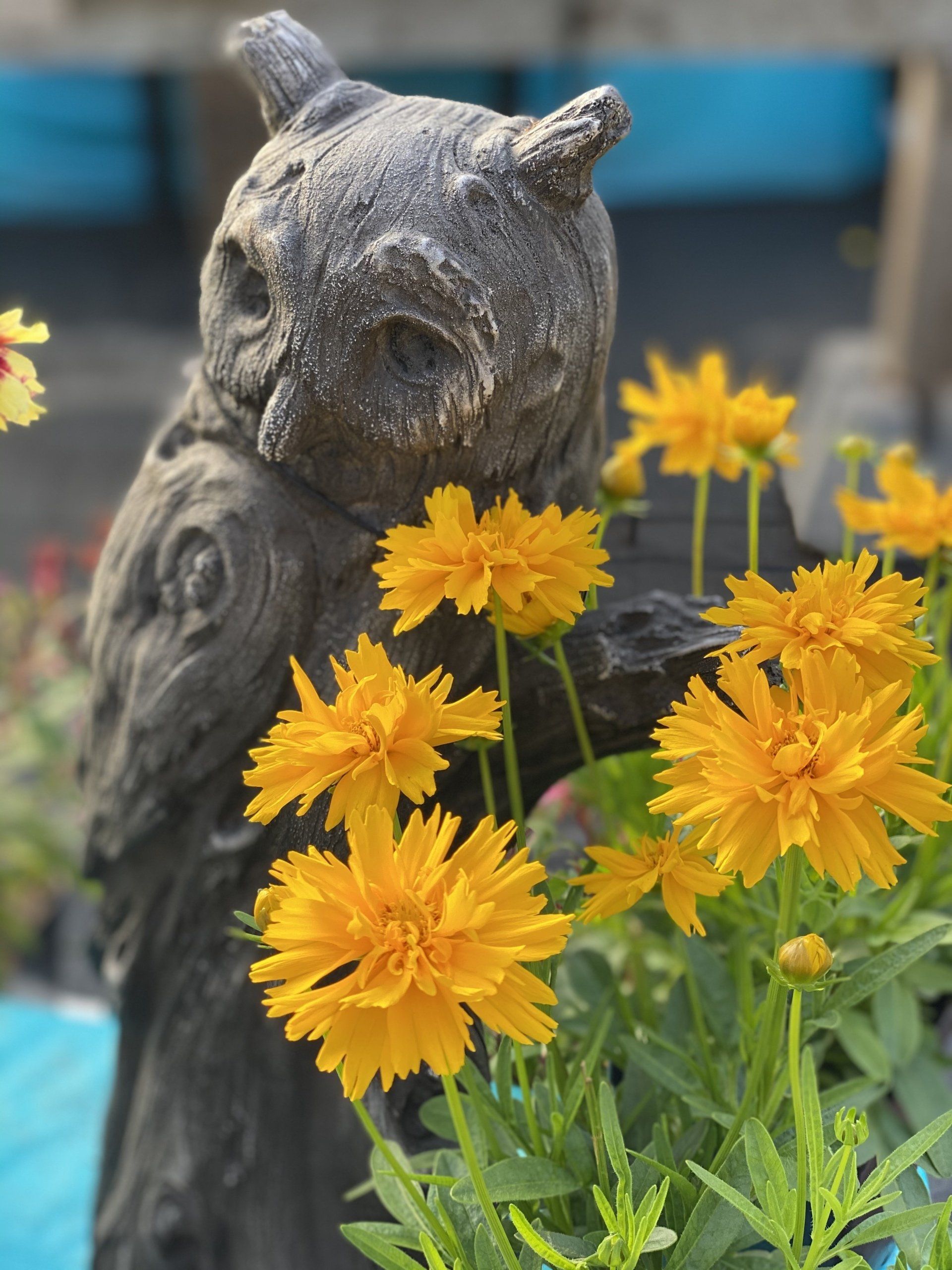 Statue de hibou gris entourée de fleurs jaune vif.