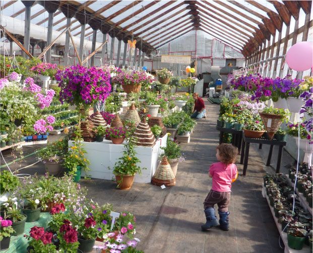 Serre remplie de fleurs et de plantes colorées. Un enfant s'avance vers le centre.