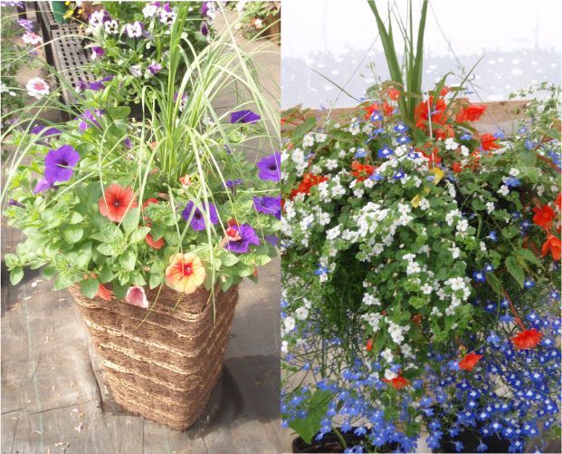 Deux jardinières aux fleurs colorées. Celle de gauche est brune, celle de droite déborde.