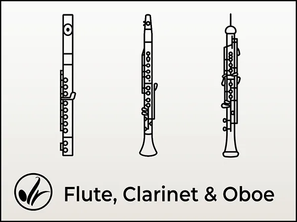 Flute Clarinet and Oboe Lessons
