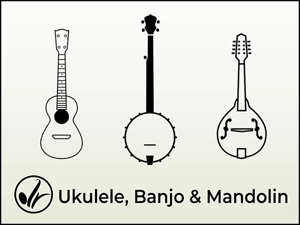 Ukulele Banjo and Mandolin Lessons