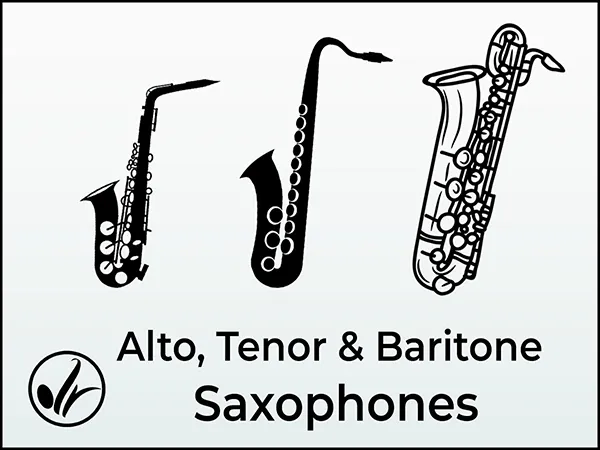 Saxophone Lessons
