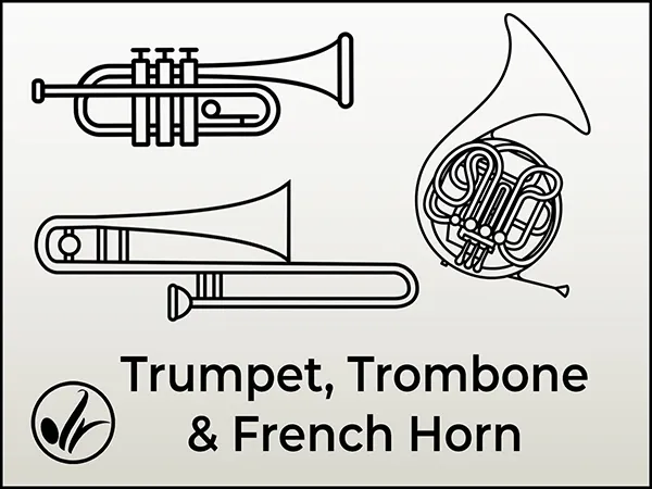 Trumpet Trombone and French Horn Lessons