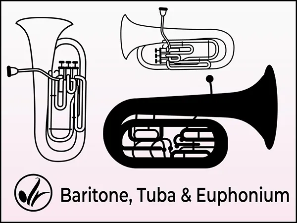 Baritone Tuba and Euphonium Lessons
