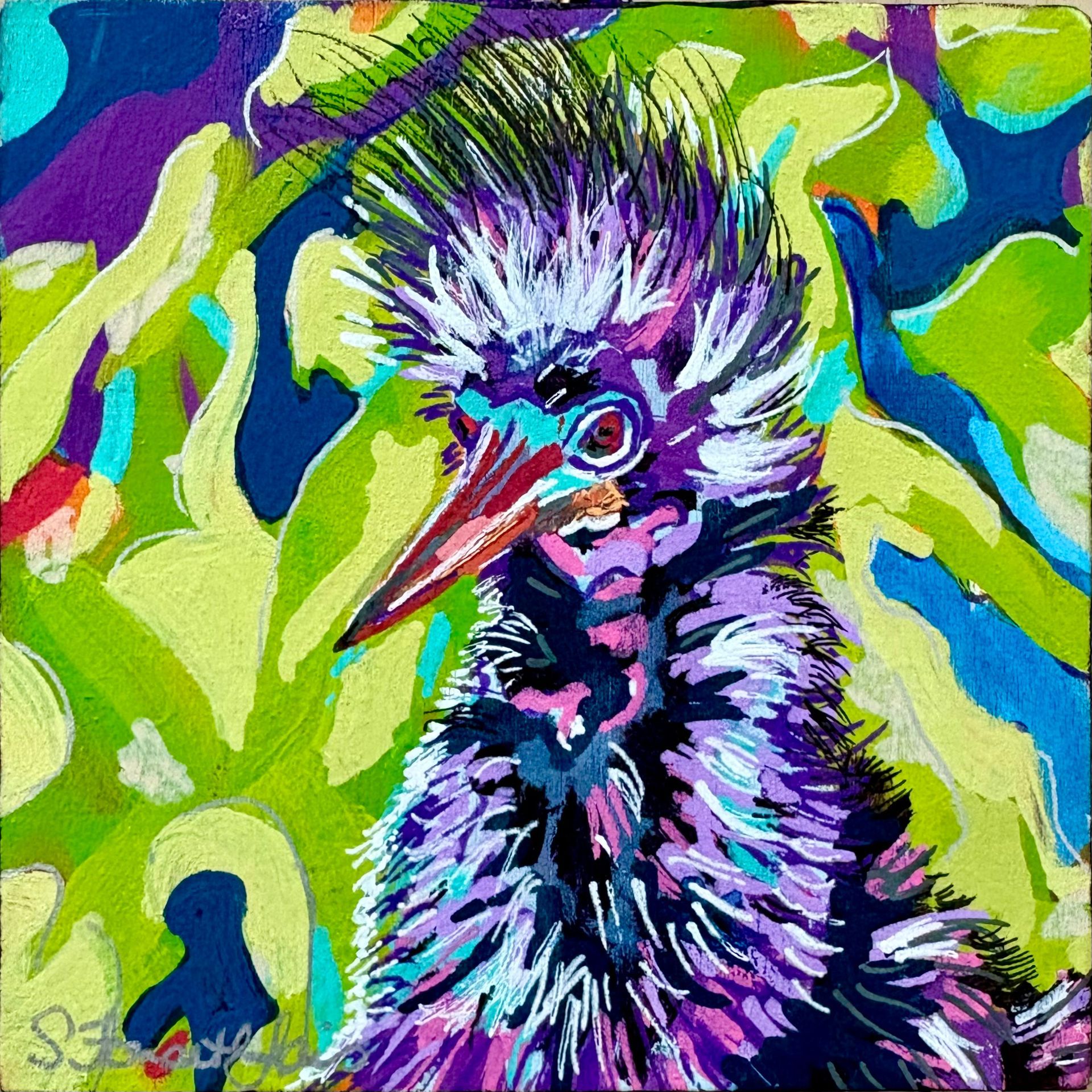 Baby Anhinga with breeze blowing tufts of new feathers.