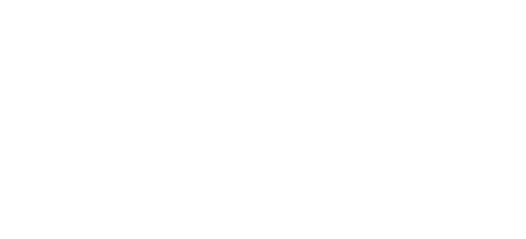 The District at Manhattan Logo