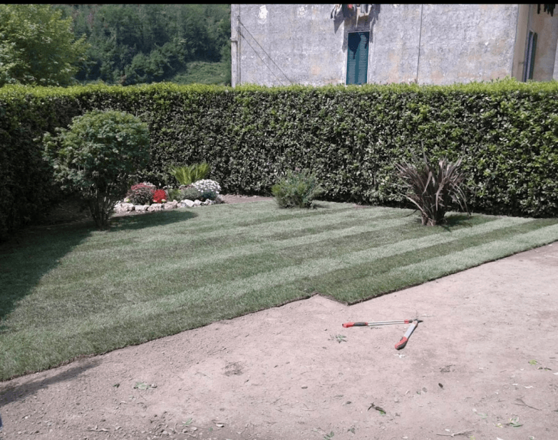 MANUTENZIONE AREE VERDI