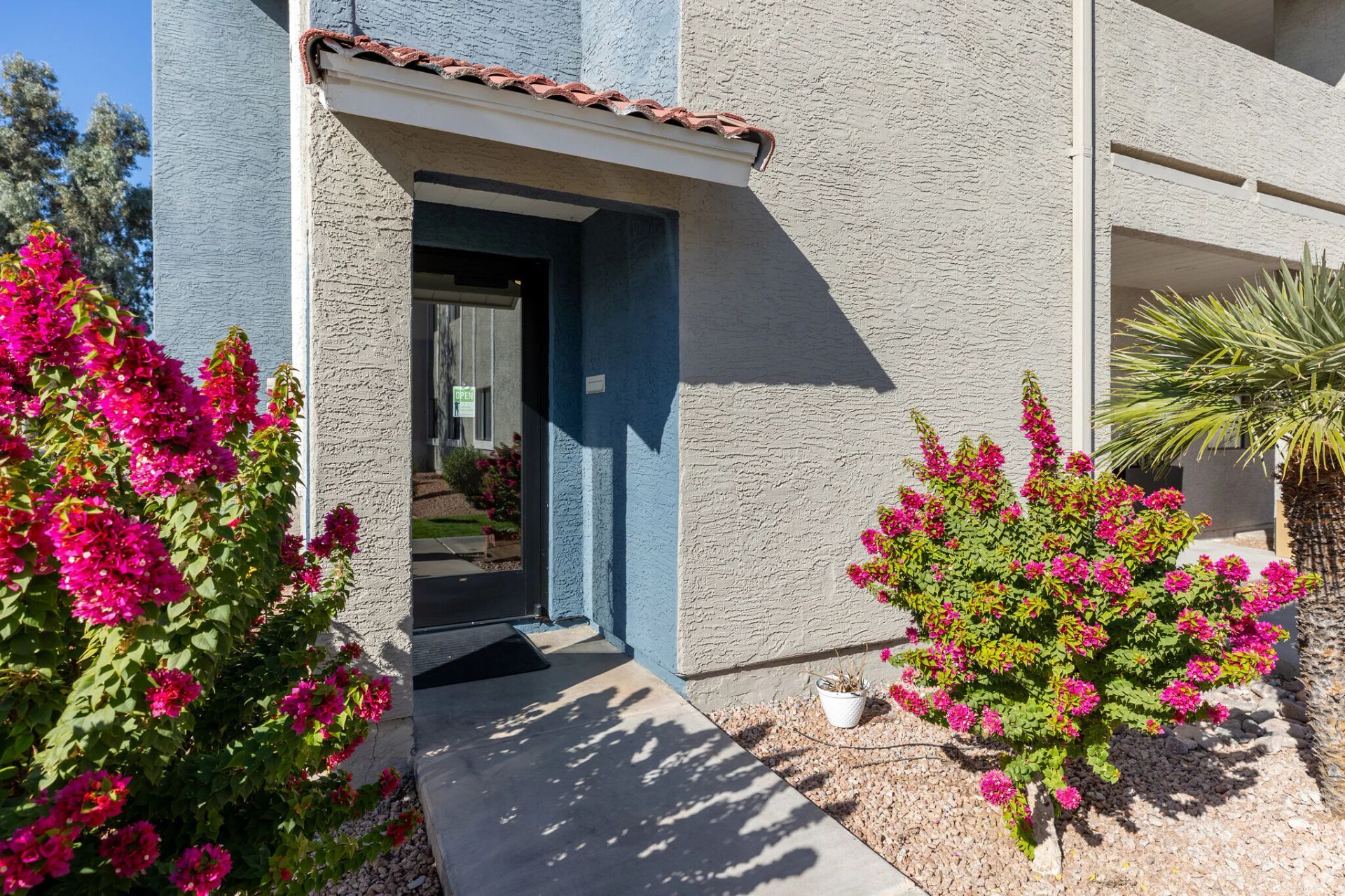 Front entrance of a stucco house with a blue door, pink bougainvillea, and a small potted palm.