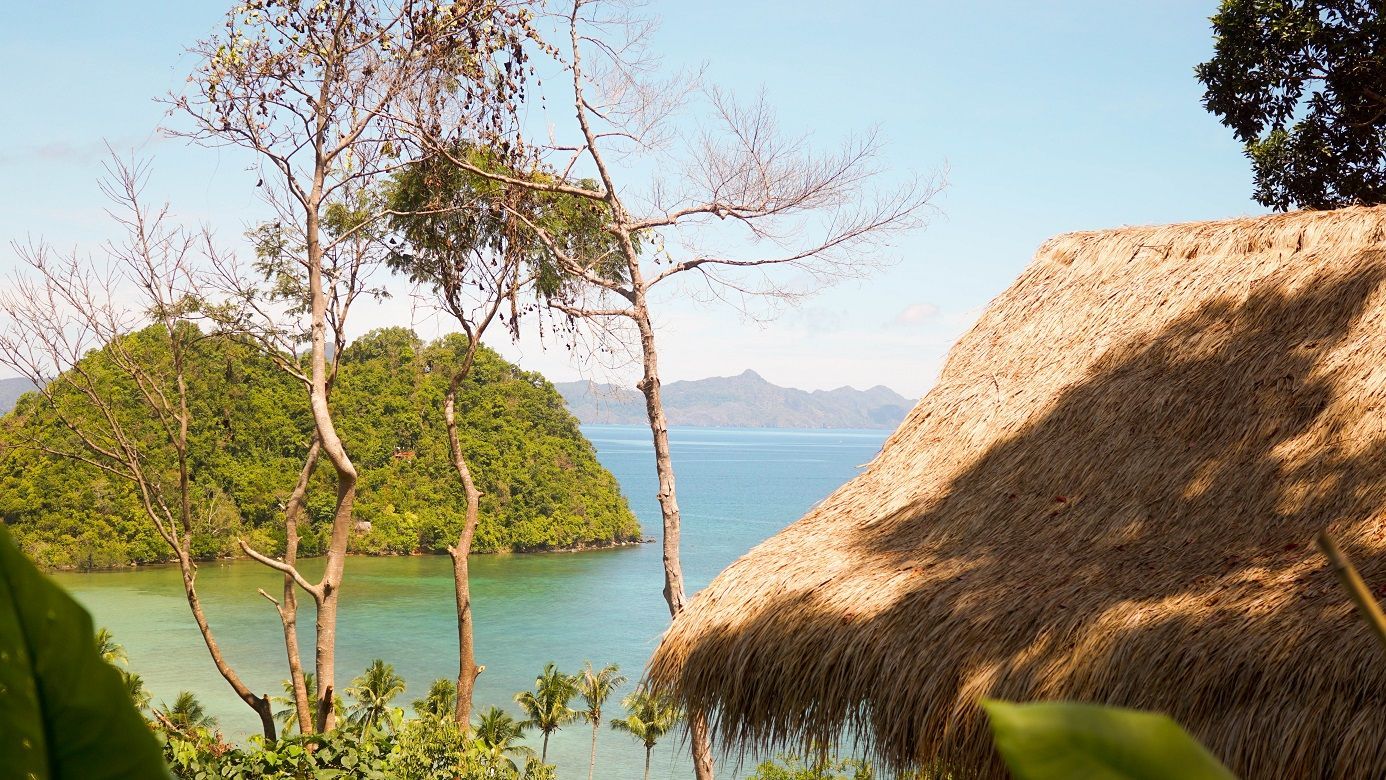 A thatched hut overlooking a body of water with trees in the foreground.