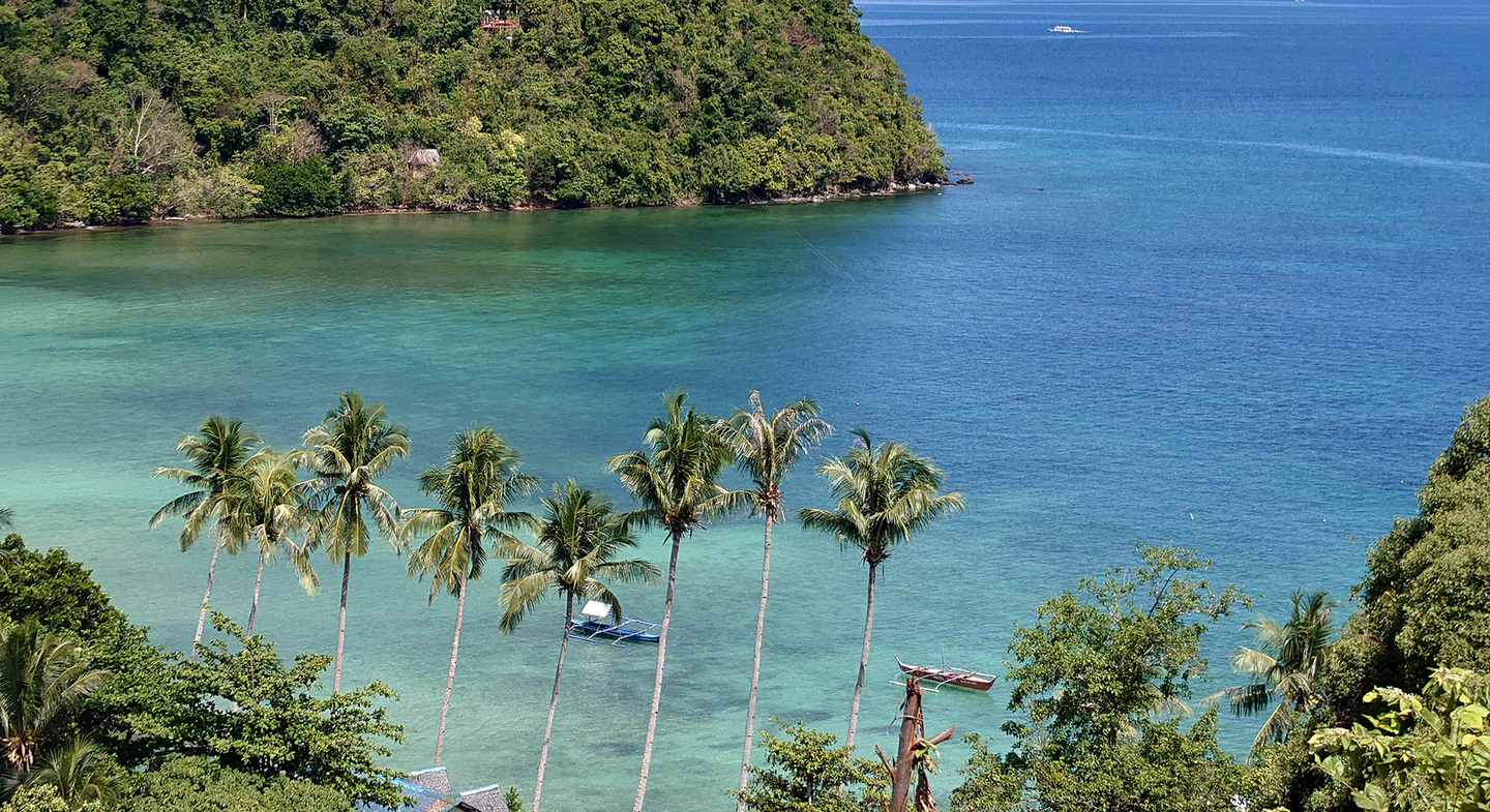 A view of a tropical beach with palm trees and boats in the water.